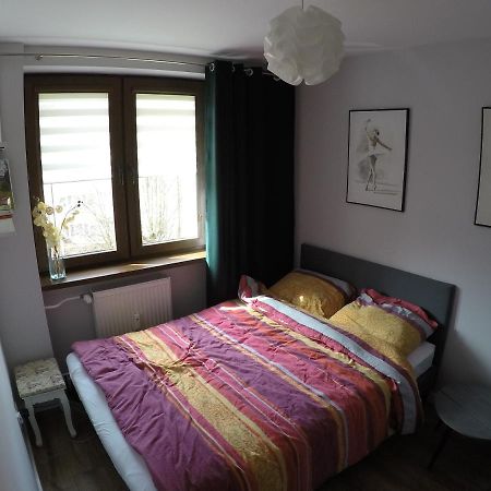 Apartament Bieszczady Daire Ustrzyki Dolne Dış mekan fotoğraf