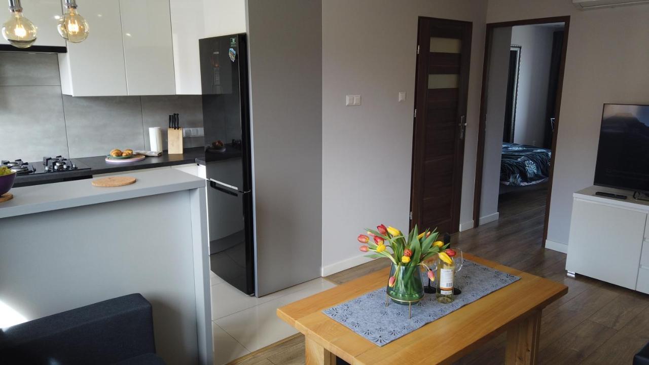 Apartament Bieszczady Daire Ustrzyki Dolne Dış mekan fotoğraf