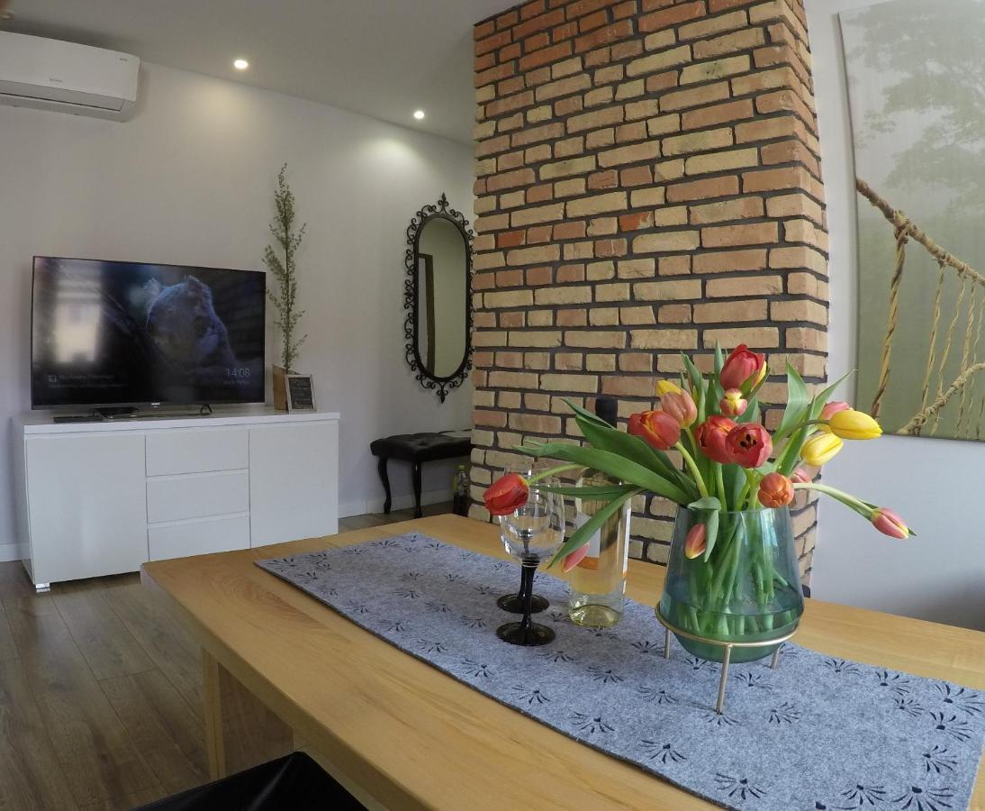 Apartament Bieszczady Daire Ustrzyki Dolne Dış mekan fotoğraf