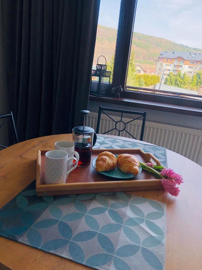 Apartament Bieszczady Daire Ustrzyki Dolne Dış mekan fotoğraf