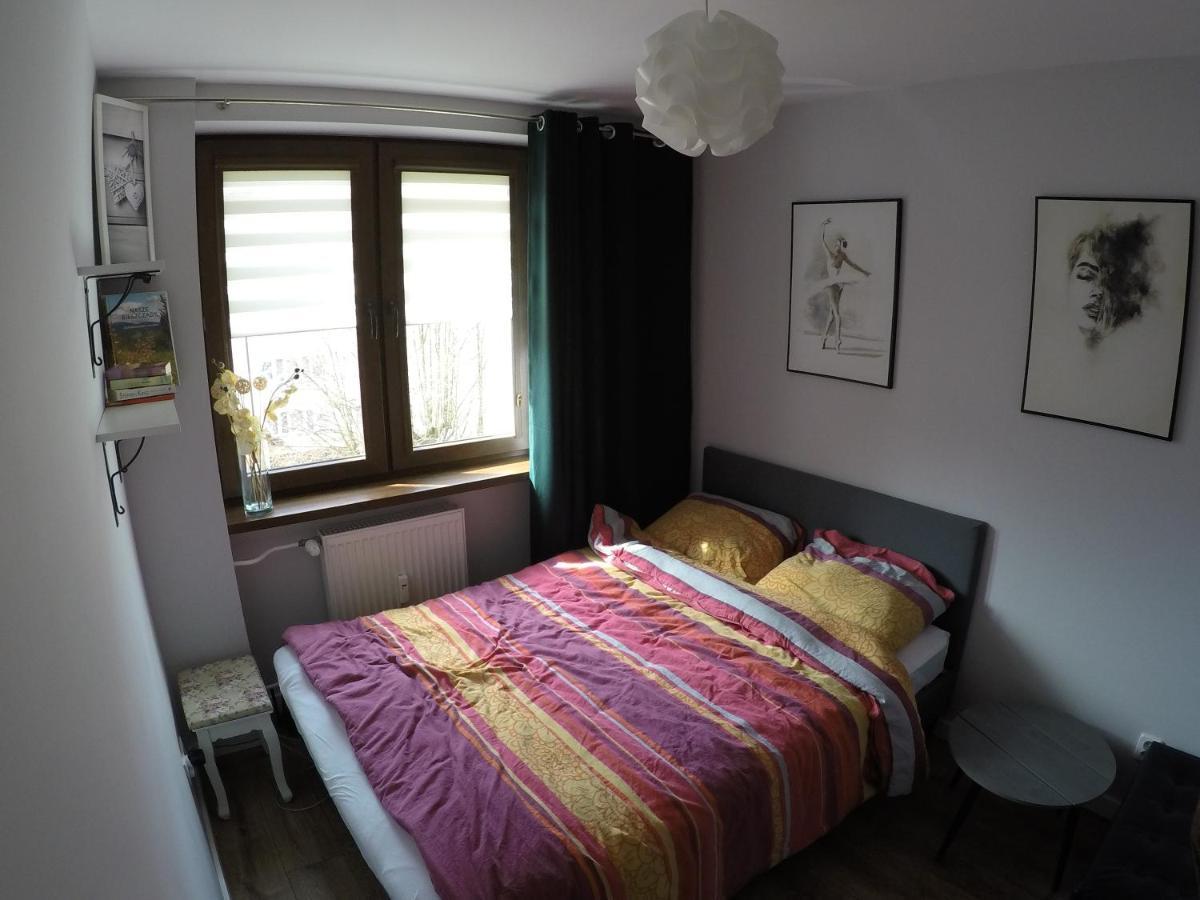 Apartament Bieszczady Daire Ustrzyki Dolne Dış mekan fotoğraf